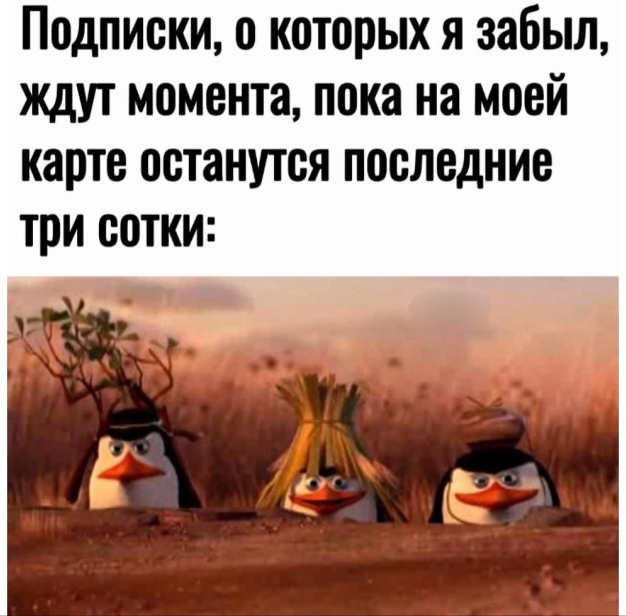 Подлписки о которых я забыл ждут момента пока на моей карте останутся последние Три сотТКИ