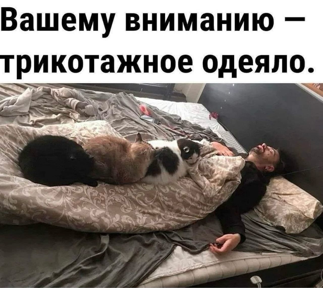 Вашему вниманию рикотажное ОДЕЯЛО