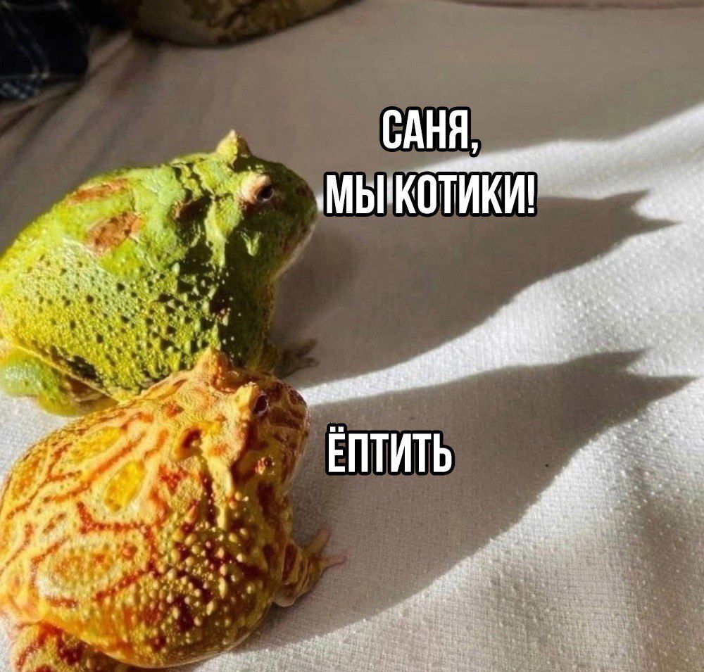 ай ЕПТИТЬ