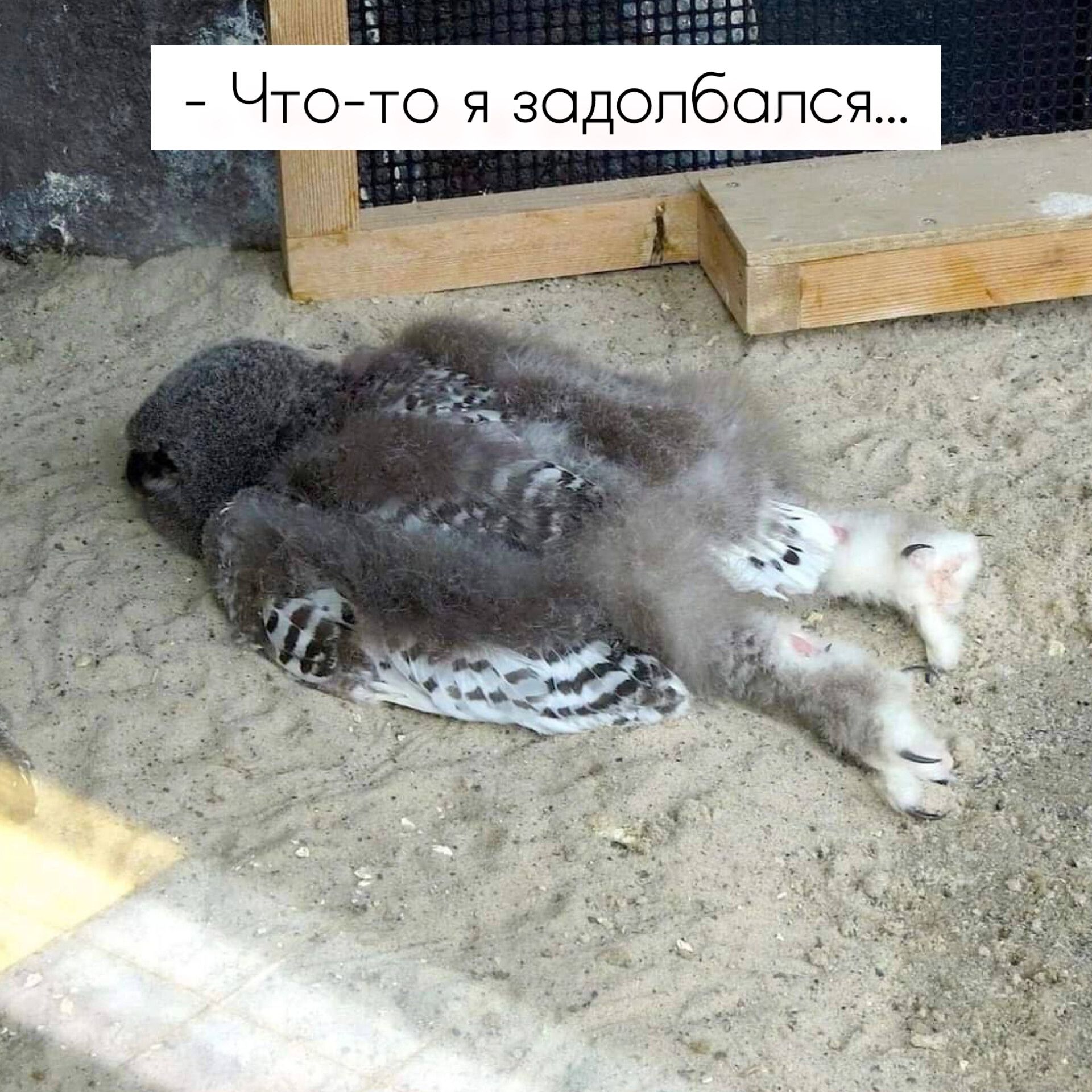 Что то я задолбоался