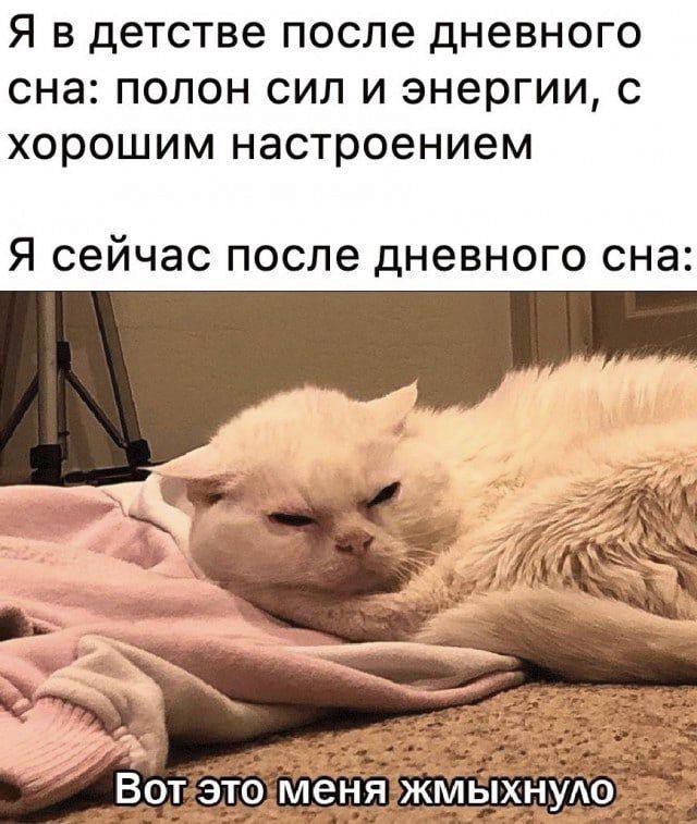 Я в детстве после дневного сна полон сил и энергии с хорошим настроением Я сейчас после дневного сна Вотэтолменя жмыхнуло