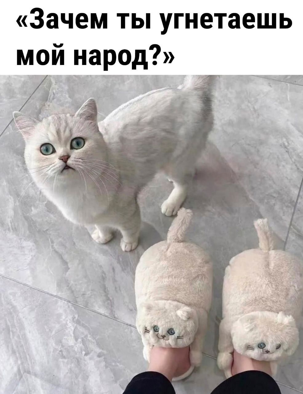 Зачем ты угнетаешь мой народ