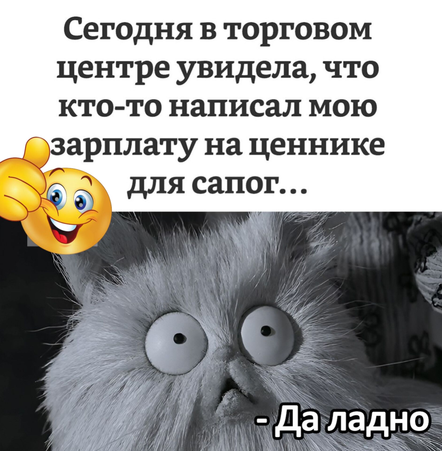 Сегодня в торговом центре увидела что кто то написал мою _Фузарплату на ценнике для сапог Даладно Ъ часнта ЗнеоЕ