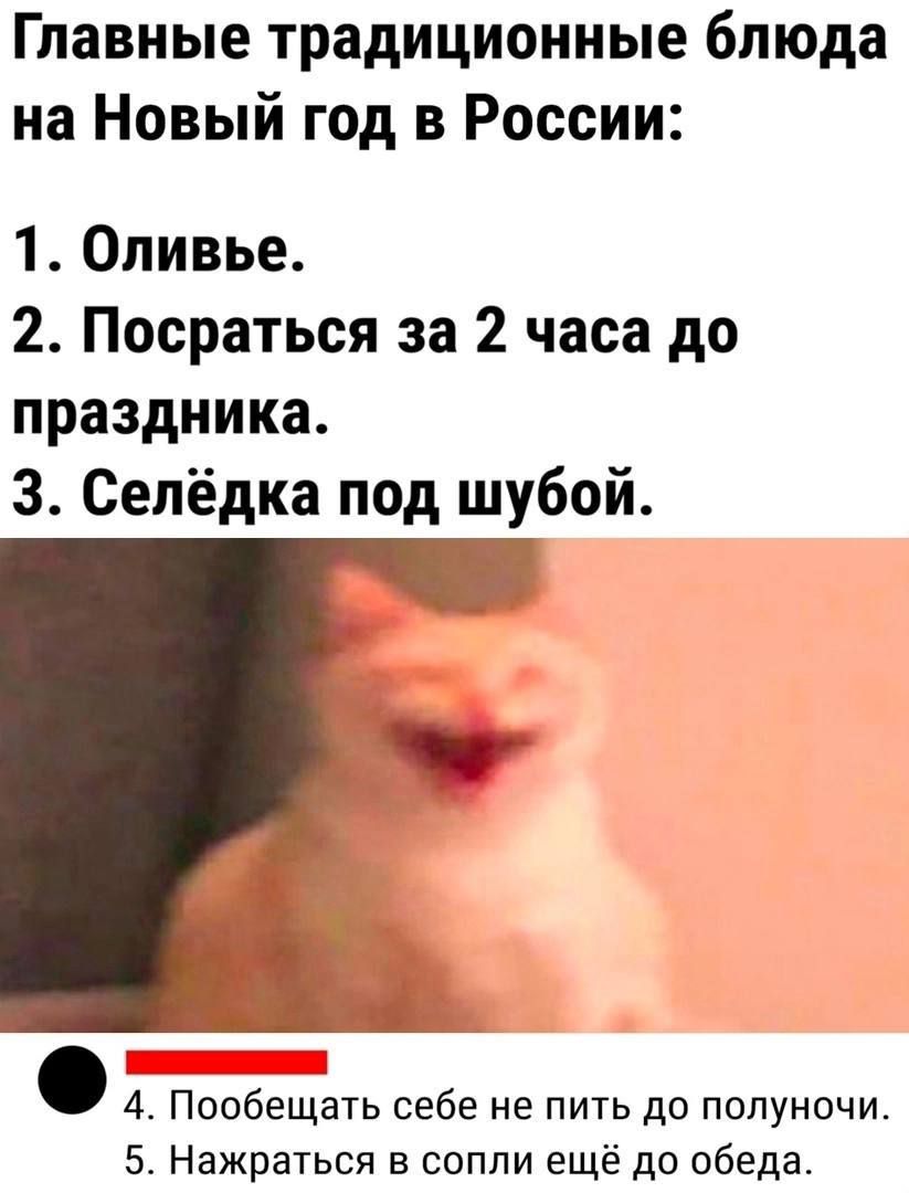 Главные традиционные блюда на Новый год в России 1 Оливье 2 Посраться за 2 часа до праздника З Селёдка под шубой 4 Пообещать себе не пить до полуночи 5 Нажраться в сопли ещё до обеда