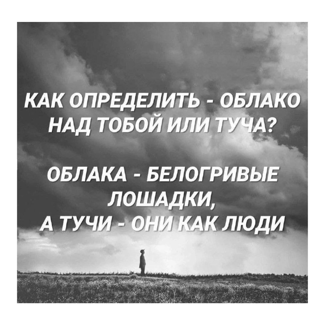 КАК ОПРЕДЕЛИТЬ ОБЛАКО НАД ТОБОЙ илт ОБЛАКА БЕЛОГРИВЫЕ