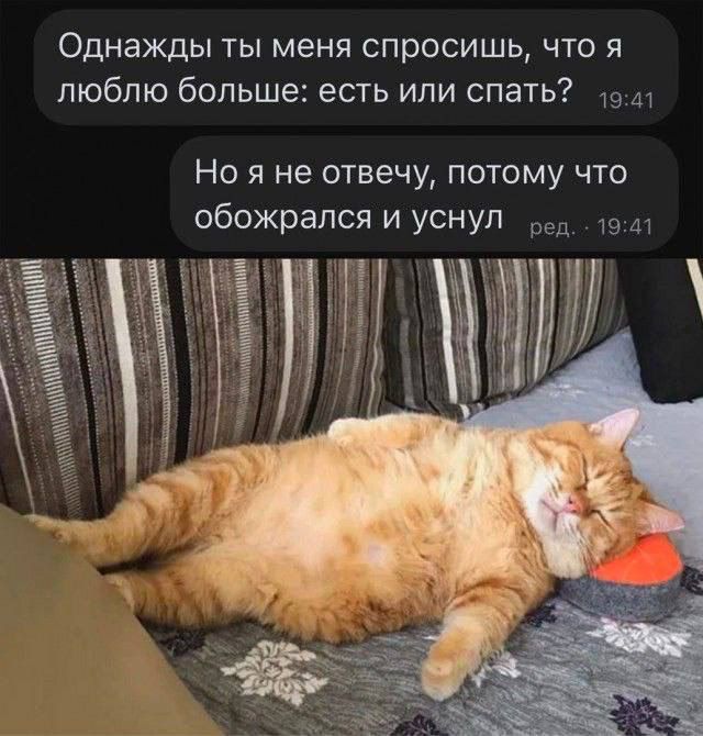 Однажды ты меня спросишь что я люблю больше есть или спать од1 Но я не отвечу потому что обожрался и уснул ред1941 Г