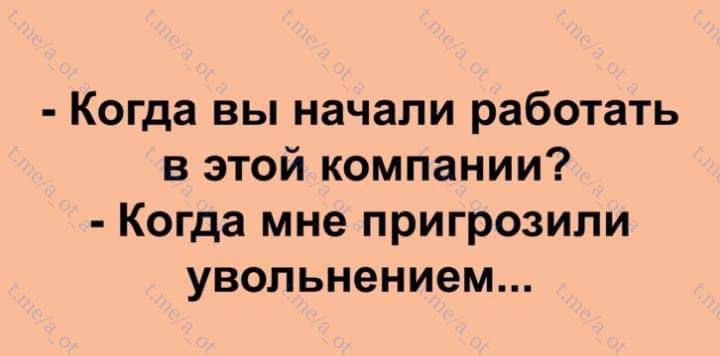 Когда вы начали работать в этой компании Когда мне пригрозили увольнением