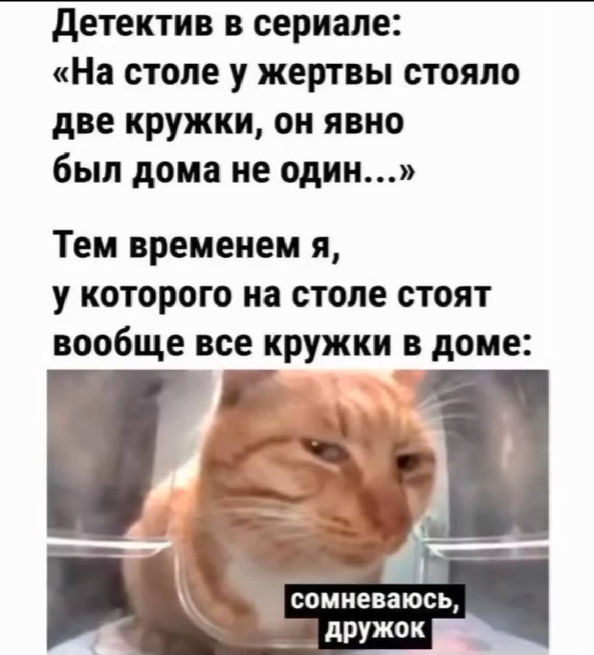 Детектив в сериале На столе у жертвы стояло две кружки он явно был дома не один Тем временем я у которого на столе стоят вообще все кружки в доме