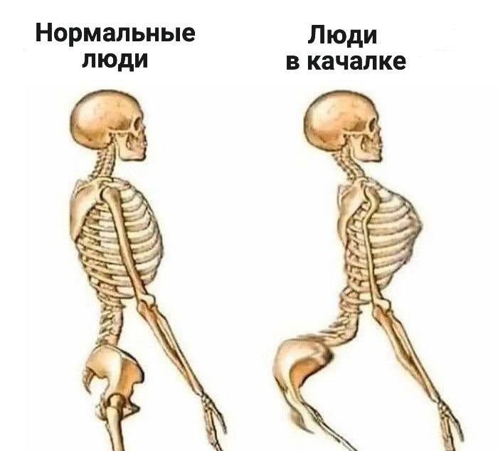 Нормальные Люди люди в качалке