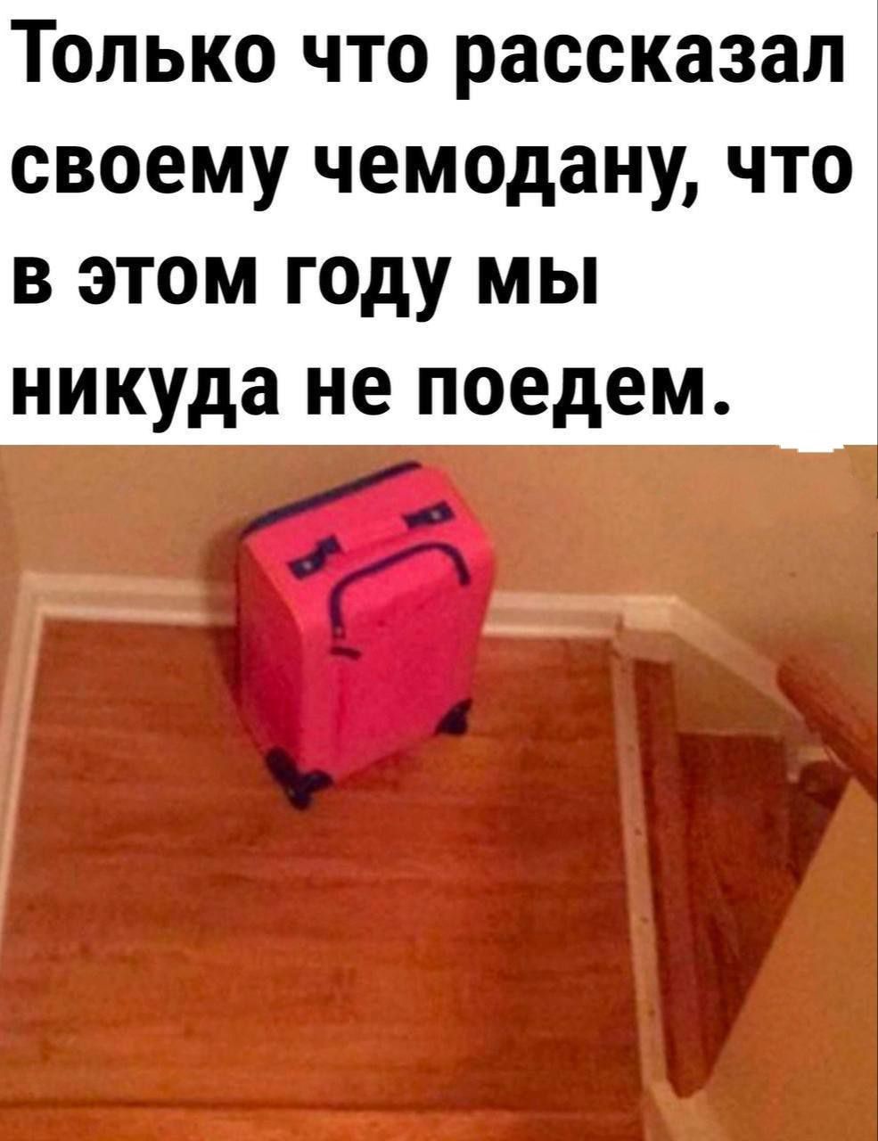 Только что рассказал своему чемодану что в этом году мы никуда не поедем 3 4 39 у