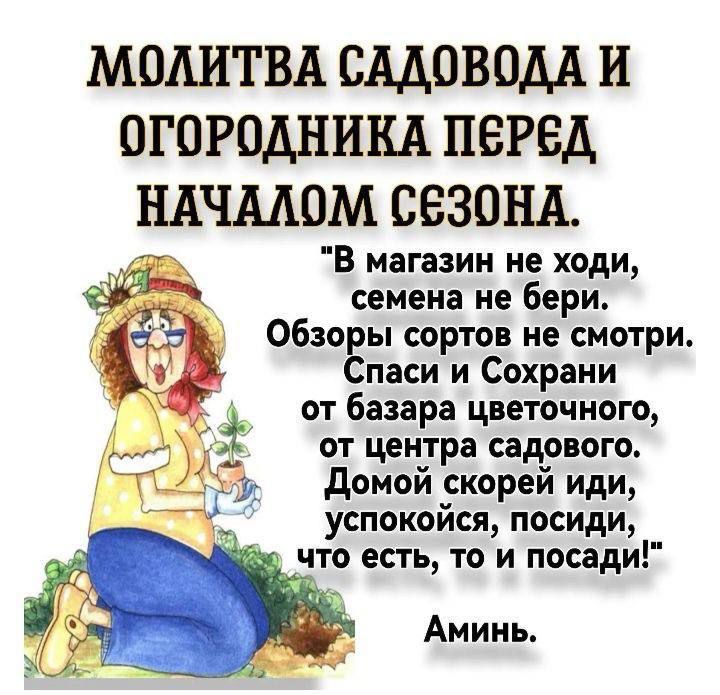 МОЛИТВА САДОВОДА И ОГОРОДНИКА ПЕРЕД НАЧАЛОМ СЕЗОНА В магазин не ходи Ч семена не бери ОбзоЁы сортов не смотри паси и Сохрани от базара цветочного от центра садового Домой скорей иди успокойся посиди что есть то и посади Аминь