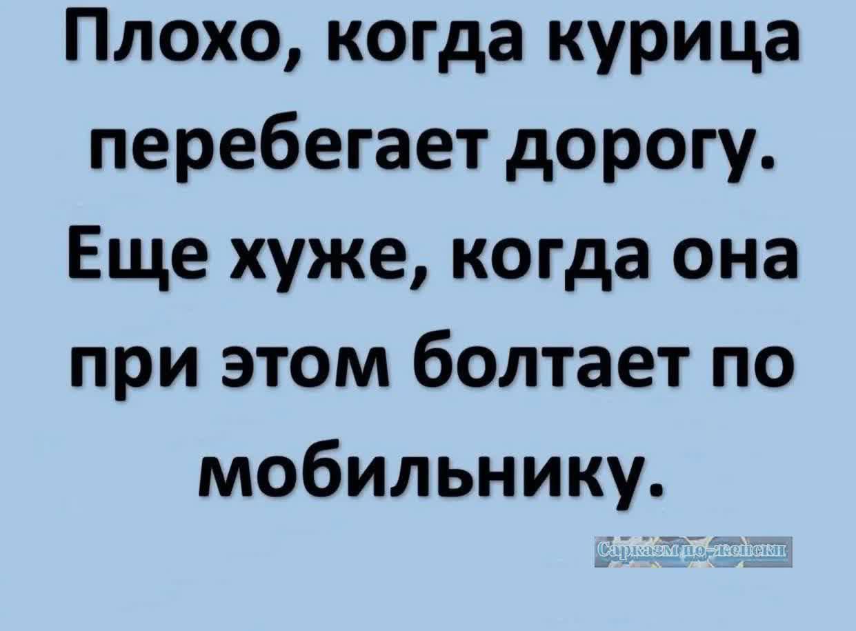 Плохо когда курица перебегает дорогу Еще хуже когда она при этом болтает по мобильнику