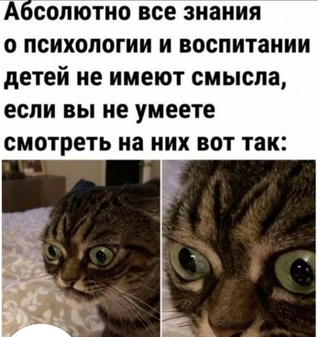 Абсолютно все знания о психологии и воспитании детей не имеют смысла если вы не умеете смотреть на них вот так