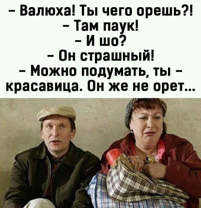 - Валюха! Ты чего орёшь?!
- Там паук!
- И шо?
- Он страшный!
- Можно подумать, ты - красавица. Он же не орет...