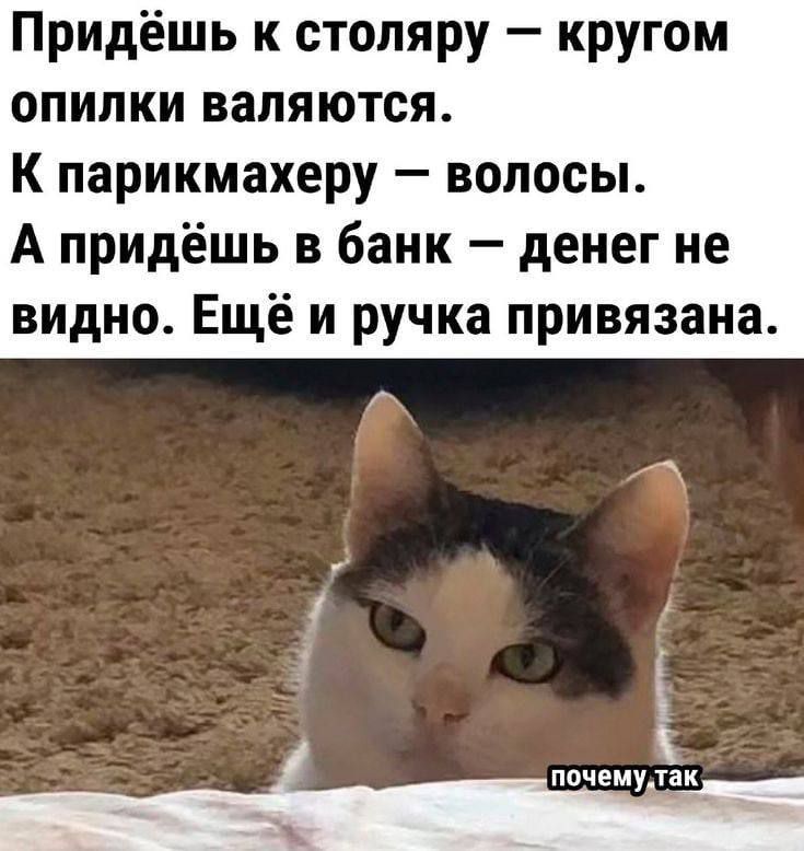 Придёшь к столяру — кругом опилки валяются.
К парикмахеру — волосы.
А придёшь в банк — денег не видно. Ещё и ручка привязана.