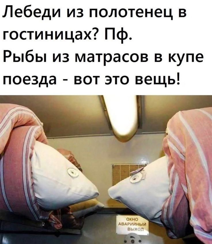 Лебеди из полотенец в гостиницах? Пф. Рыбы из матрасов в купе поезда - вот это вещь!