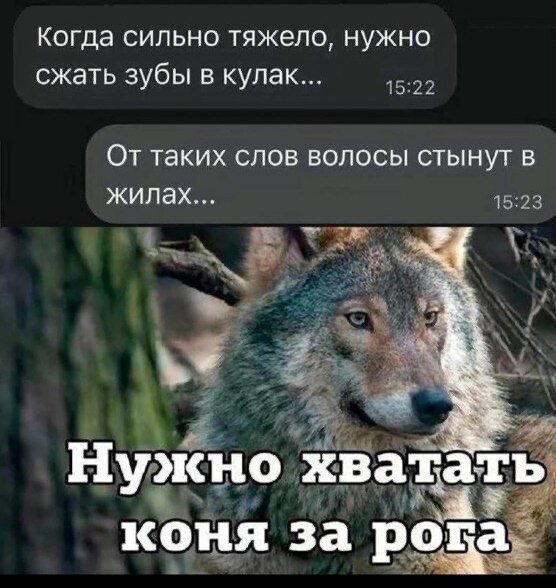 Когда сильно тяжело, нужно сжать зубы в кулак...
От таких слов волосы стынут в жилах...
Нужно хватать коня за рога