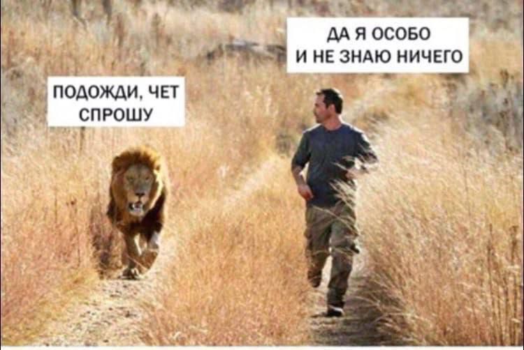 ПОДОЖДИ, ЧЕТ СПРОШУ
ДА Я ОСОБО И НЕ ЗНАЮ НИЧЕГО