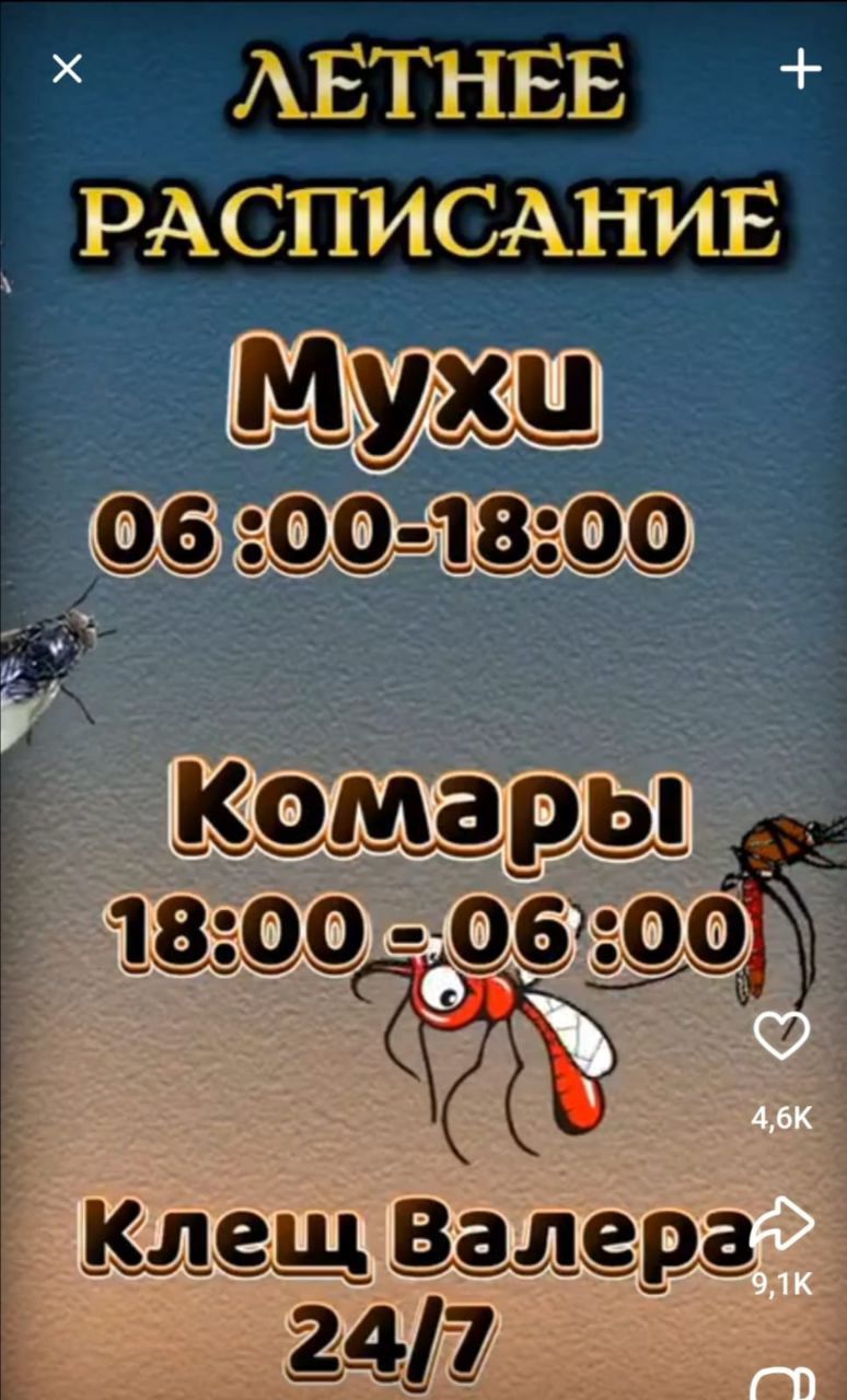 ЛЕТНЕЕ РАСПИСАНИЕ
Мухи
06:00-18:00
Комары
18:00-06:00
Клещ Валера
24/7