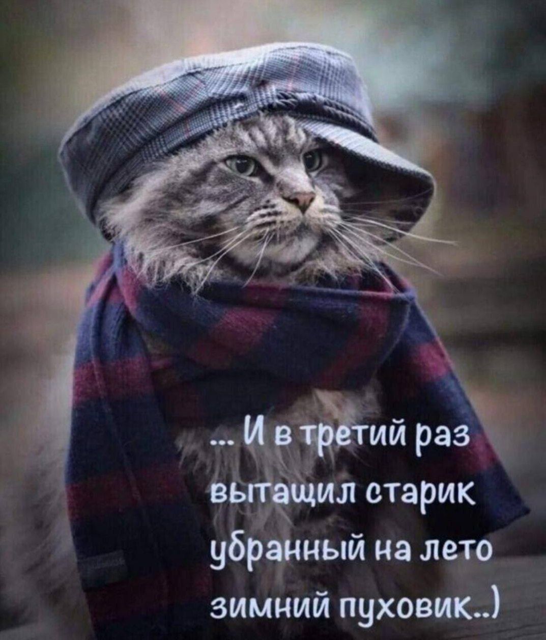 ... И в третий раз вытасчил старик убранный на лето зимний пуховик..)