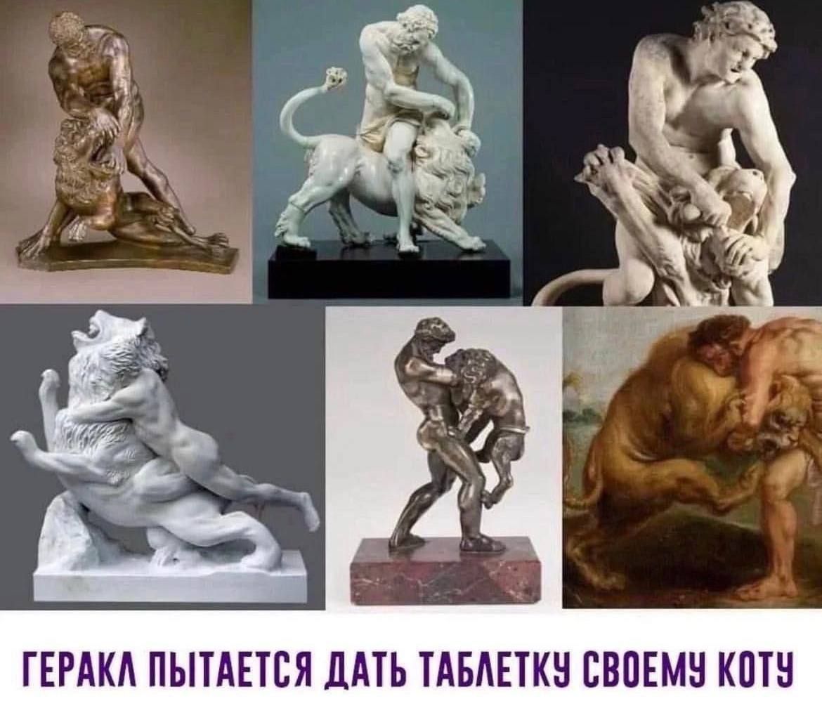 ГЕРАКЛ ПОПЫТАЕТСЯ ДАТЬ ТАБЛЕТКУ СВОЕМУ Коту
