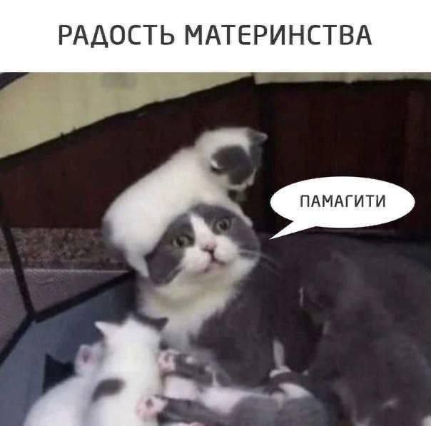 РАДОСТЬ МАТЕРИНСТВА
ПАМАГИТИ