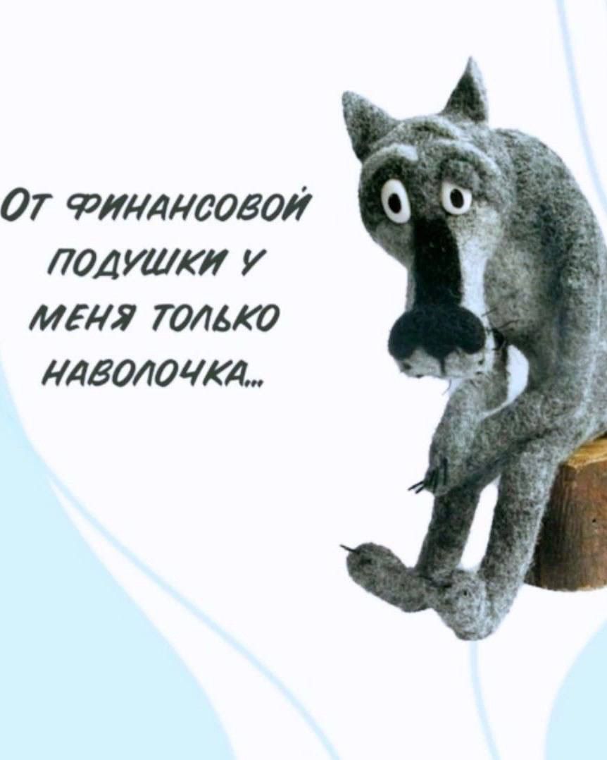 От финансовой подушки у меня только наволочка...