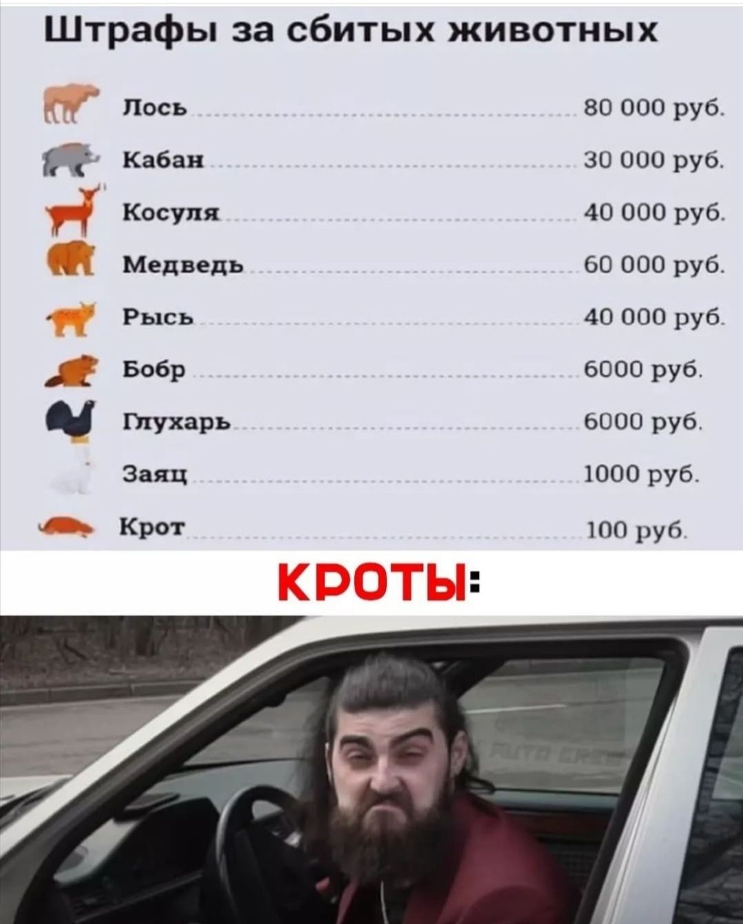 Штрафы за сбитых животных Пось 80 000 руб 2 Кабан 30 000 руб Косуля 40 000 руб Медведь 60 000 руб Рысь 40 000 руб Бобр 6000 руб Пгухарь 6000 руб Заяц 1000 руб кр 100 руб