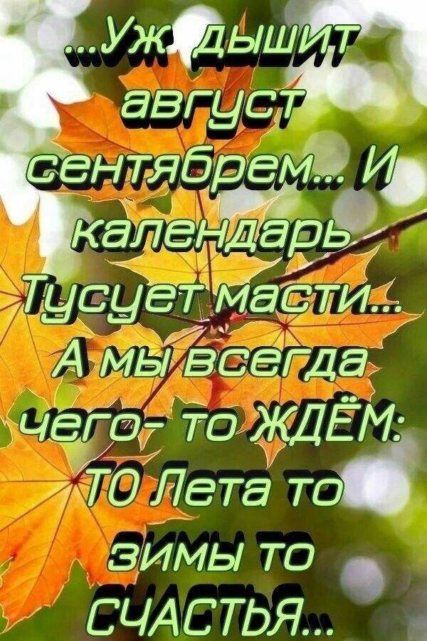 Ужфышт август сентябрем И калеыдар Псует ЁИ А мыёсегда чёрту то ЖДЕМ ГО Лета то зимы то СЧАСТЬЯ