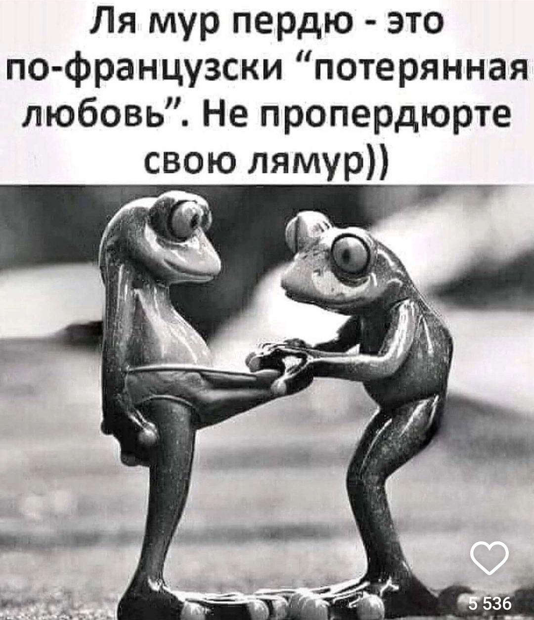 Ля мур пердю это по французски потерянная любовь Не пропердюрте свою лямур