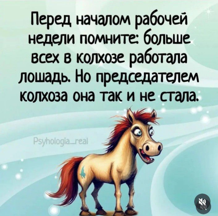 Перед началом рабочей недели помните больше всех в колхозе работала лошадь Но председателем колхоза она так и не стала