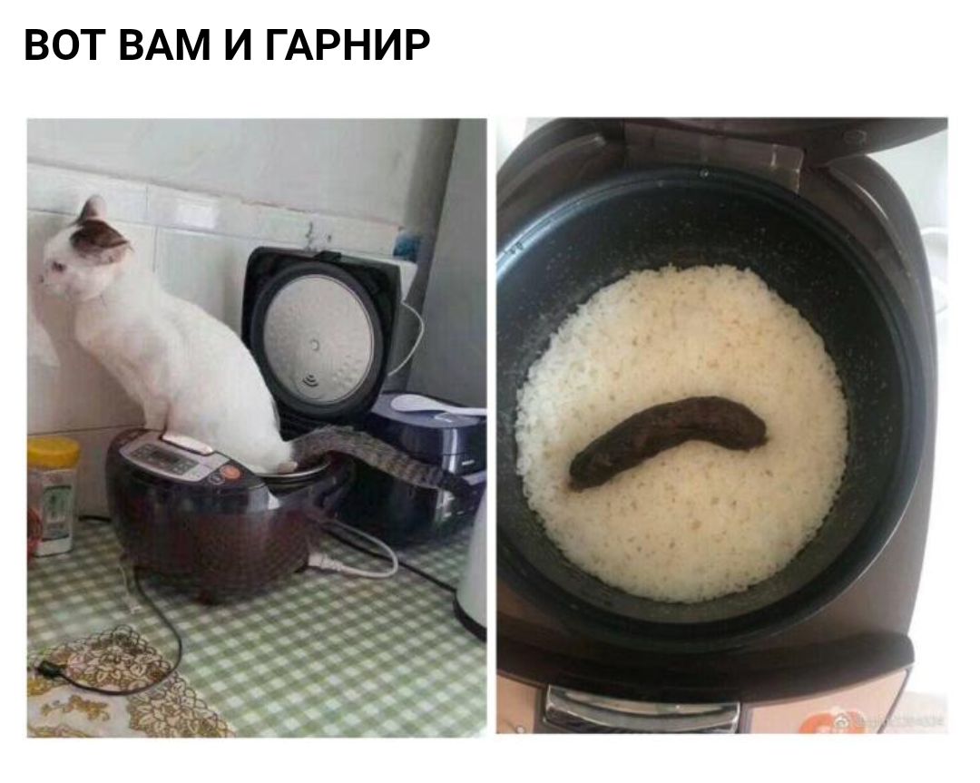 Р И Н Р и И М А В Т О В