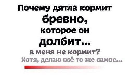 ПОЧ ему дятла КОРМИГ бревно которое он долбит а меня не кормит