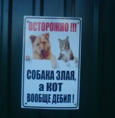 Епюжииш и совдндзпди аиот _юишыить