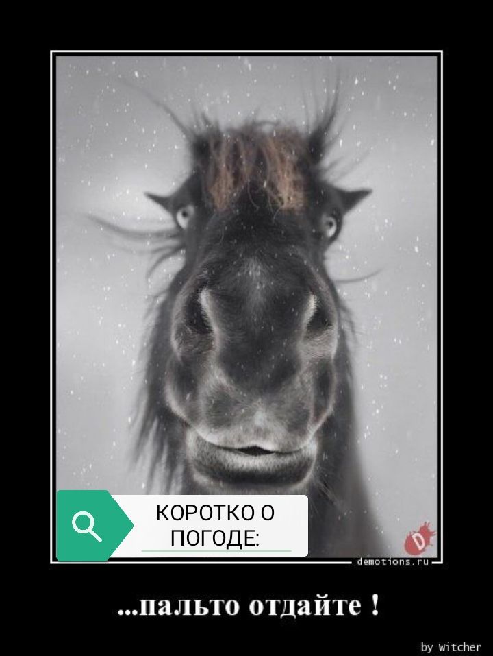 пальто отдайте Ьу шгснег
