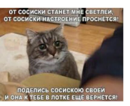 ОТ сосиски СТАНЕТ МНЕ СВЕУЛЕИ ОТ СОСИСКИ НАСРОЕИИЕ ПРОСМЕТСЯ і поделись СОСИСКОЮ СВОЕМ И ОНА К ТЕБЕ В ПОТКЕ ЕЩЕ ВЕРНЕТСЯ