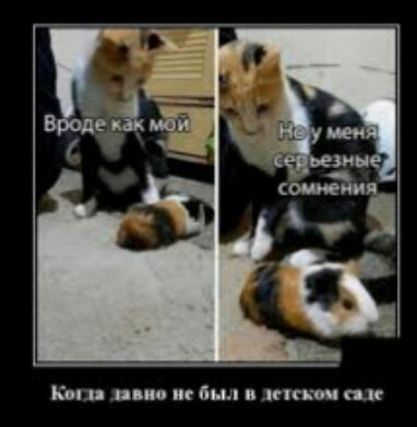Кид спи не был купч пк