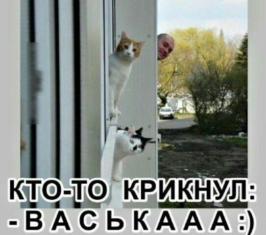 и А А РА _ к ЖЁКЬ вцЮмС А К