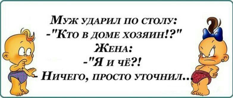 Муж УДАРИЛ по столу Кто в ДОМЕ хозяин ЖЕНА Я И ЧЁ НИЧЕГО просто уточнил