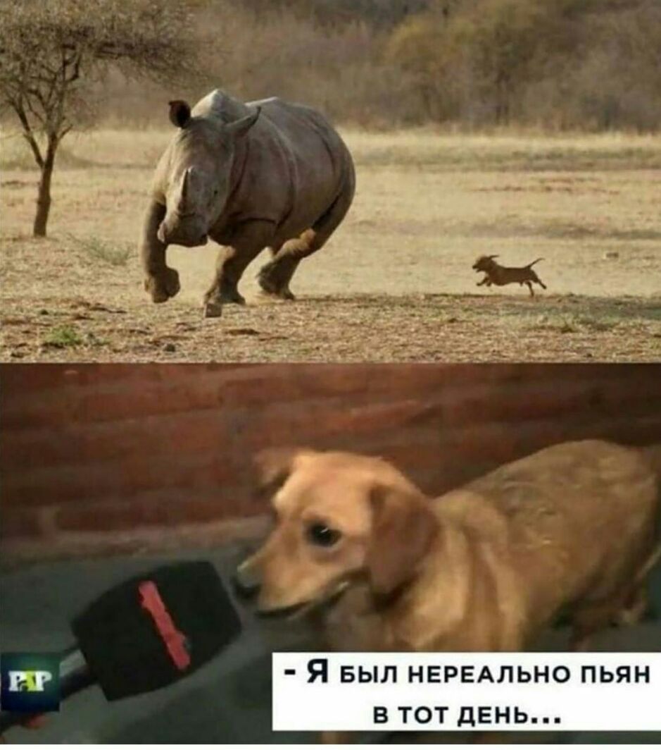вт Я БЫЛ НЕРЕАЛЬНО ПЬЯН В ТОТ ДЕНЬ