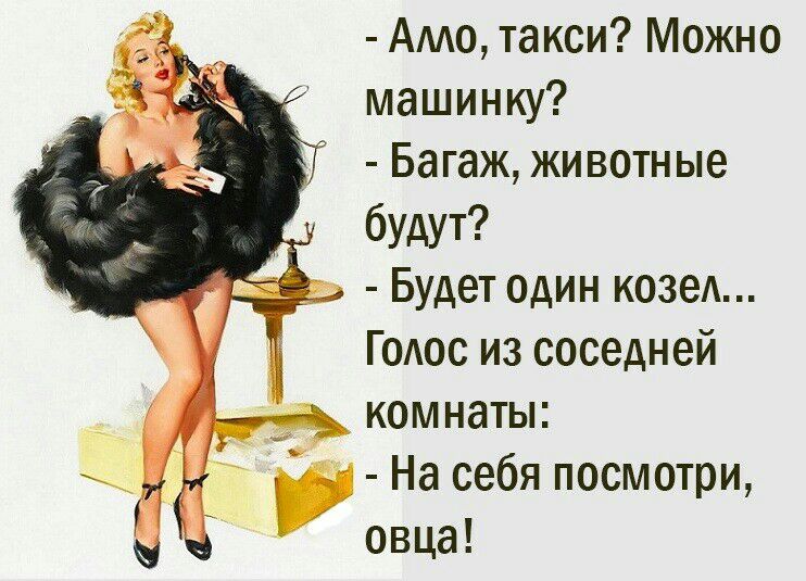 Амо такси Можно машинку Багаж животные будут Будет один козе Годос из соседней комнаты На себя посмотри овца
