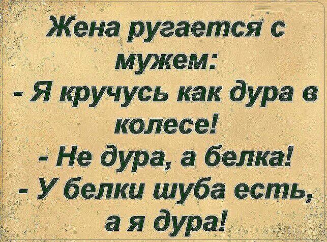 Жена ругаетсяс Мужем Я кручусь как _дура в колесе Не дура а белка
