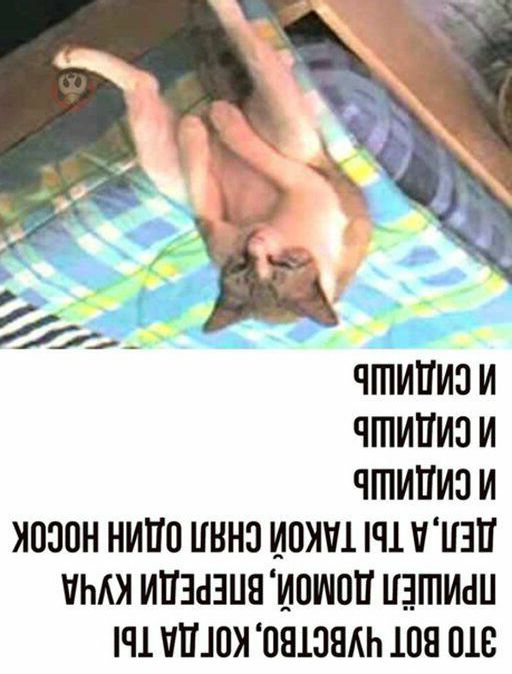 ЧШИПИЗ И ЧШИПИЗ И ЧШИПИЗ И ЮЗПН НИШ ИНН ИШИМ Ч1 ППП ИМЯ ИПМЕШЯ ИПИЮП ШПИШ Ч1 ШЮИ ПЯШЯАЬ 108 018