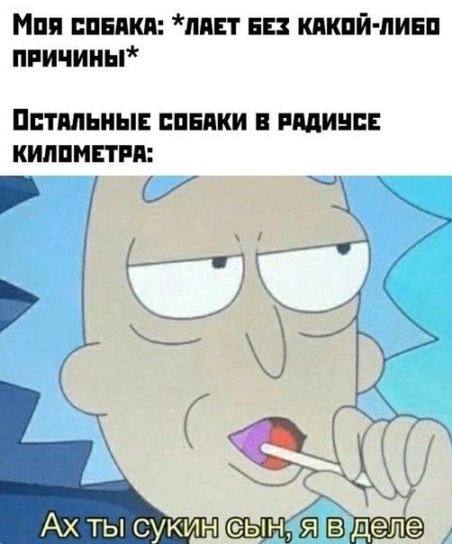 Мпя синяки ппнт в кдкпй пинп причин СТИЛЬНЫЕ ПЛЕНКИ В РЩИНПЕ КШШМЕТРП М