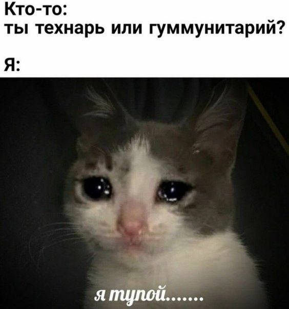 Кто то ты технарь или гуммунитарий Я