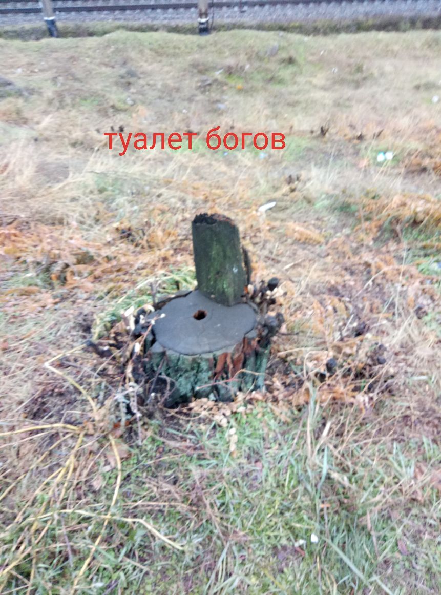 ъ _Уалетбгёгов 5 ь