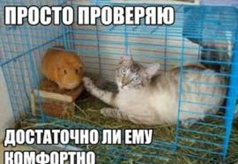1іёі ШРВВЮ ПРЙЦ ЗЧ ЛЕБТПШЧЦВ ПИ И ПИФШППП