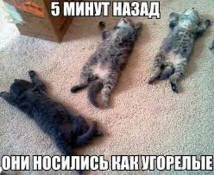 _ БМИЧЕЁЦЗШ
