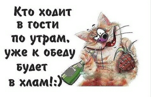 Кто ходит в гости по утрам уже к обеду Будет в хлам