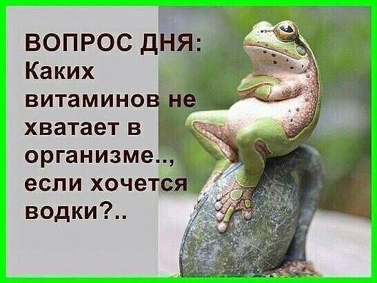 ВОПРОС д 3 Каких витамино хватает в организме если хоче водки